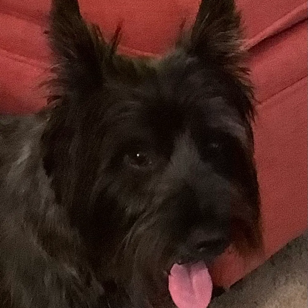 ubuntu4all.bsky.social's profile picture