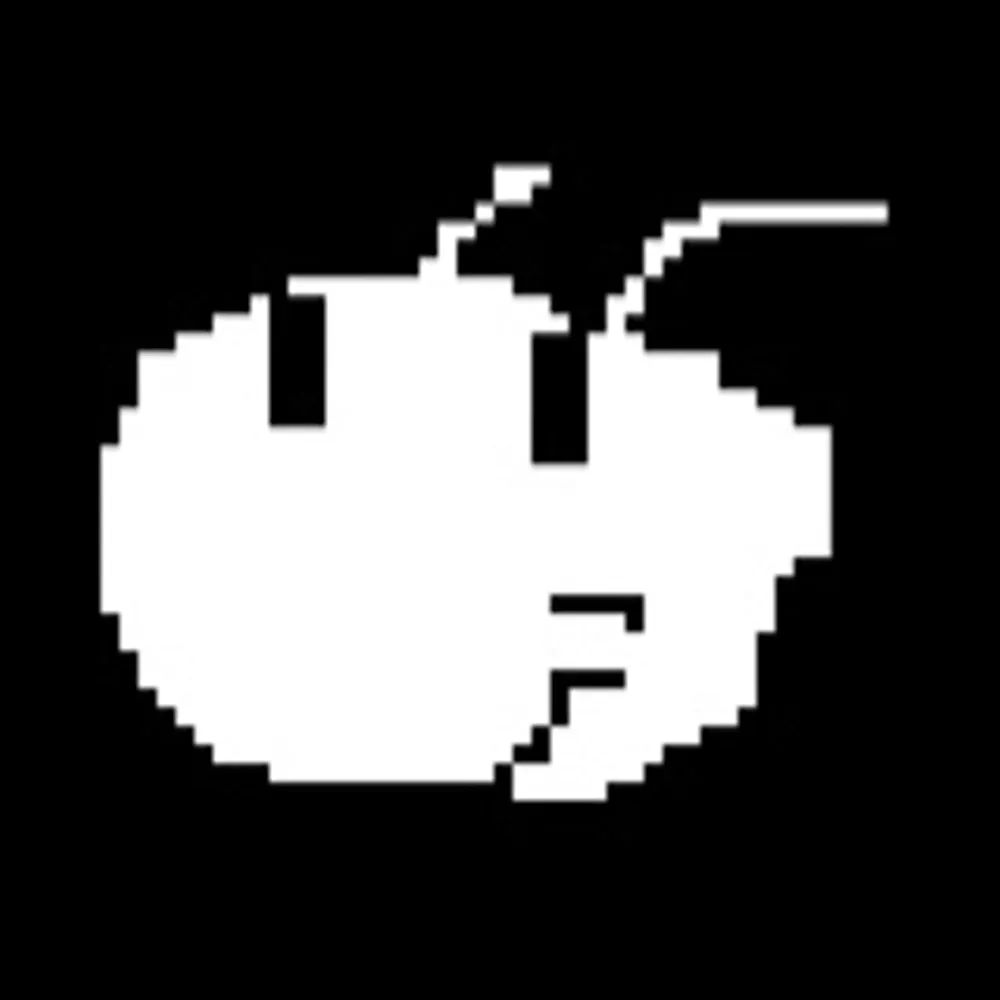 notknalp.bsky.social's profile picture