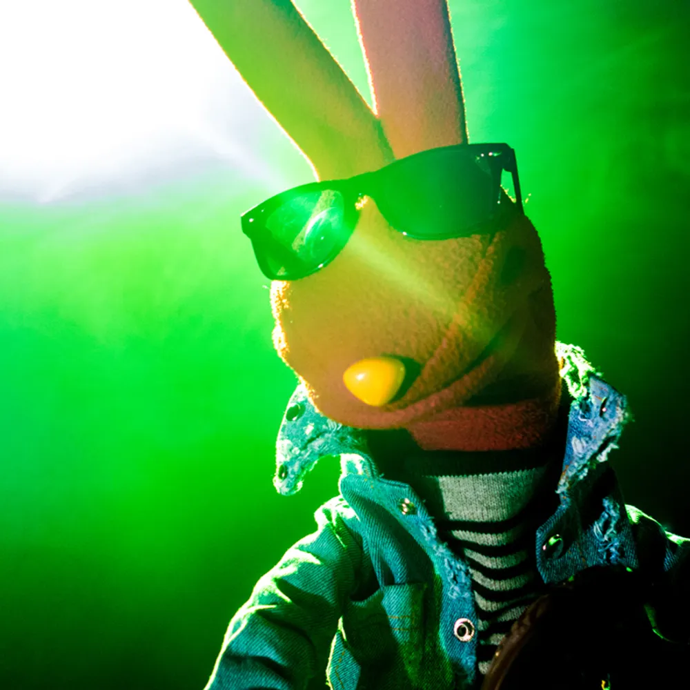 stardustraccoon.bsky.social's profile picture