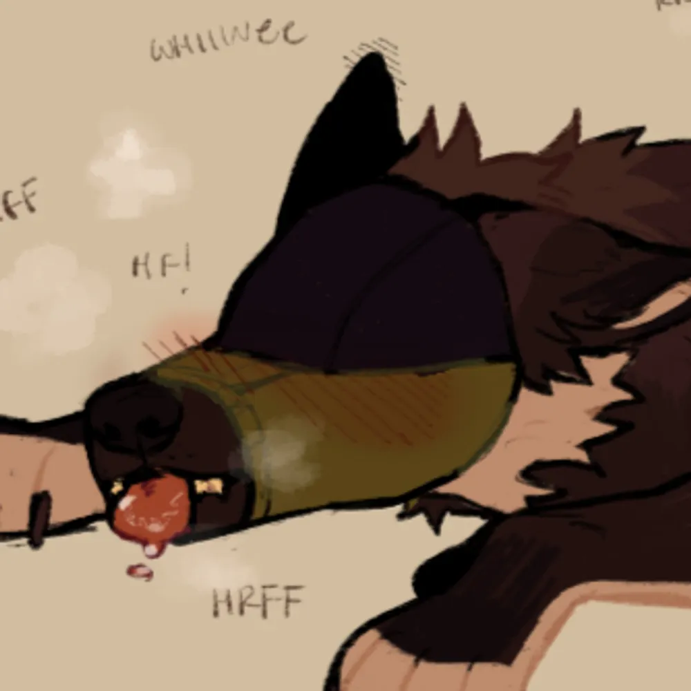 latteyote.bsky.social's profile picture