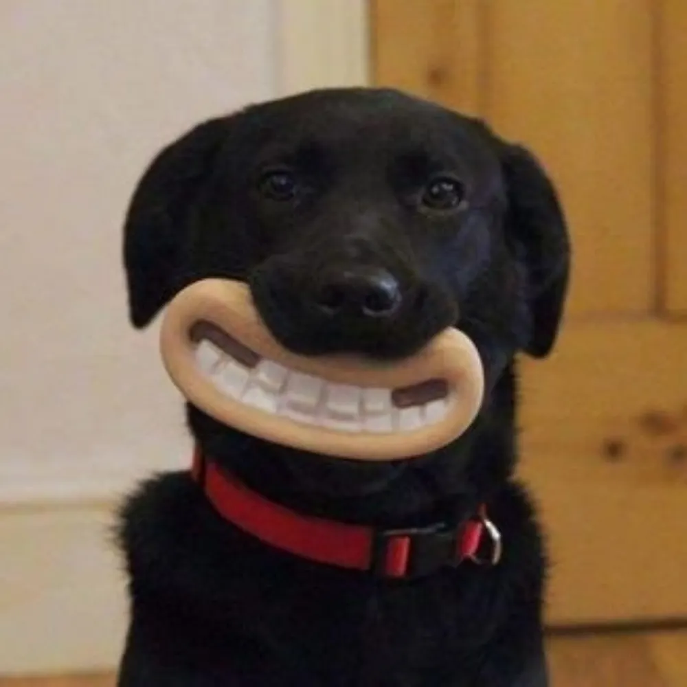 pollymarley.bsky.social's profile picture