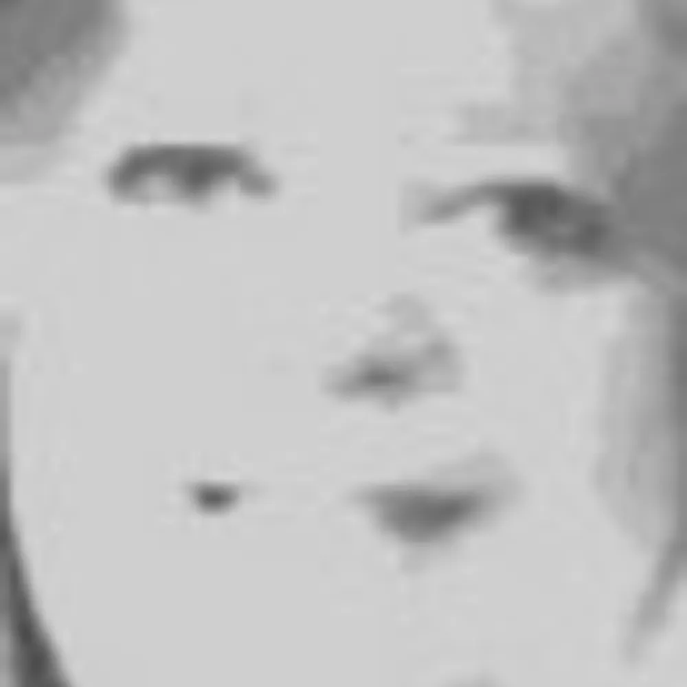 bauntarbara.bsky.social's profile picture