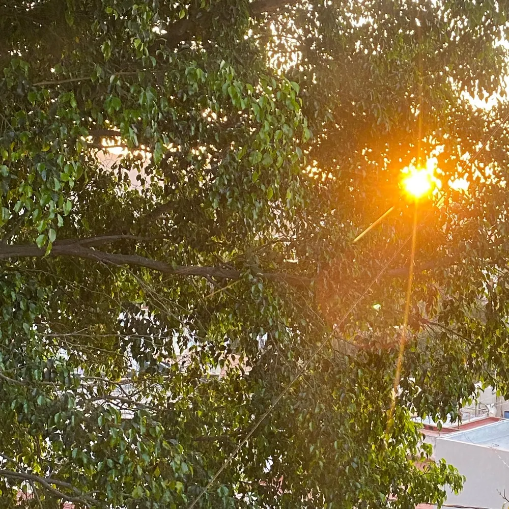 wordsoffreedom.bsky.social's profile picture