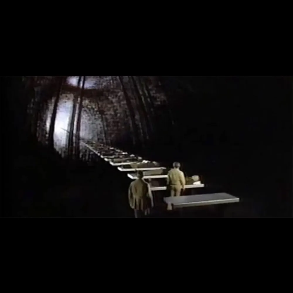 soothsayer-1.bsky.social's profile picture