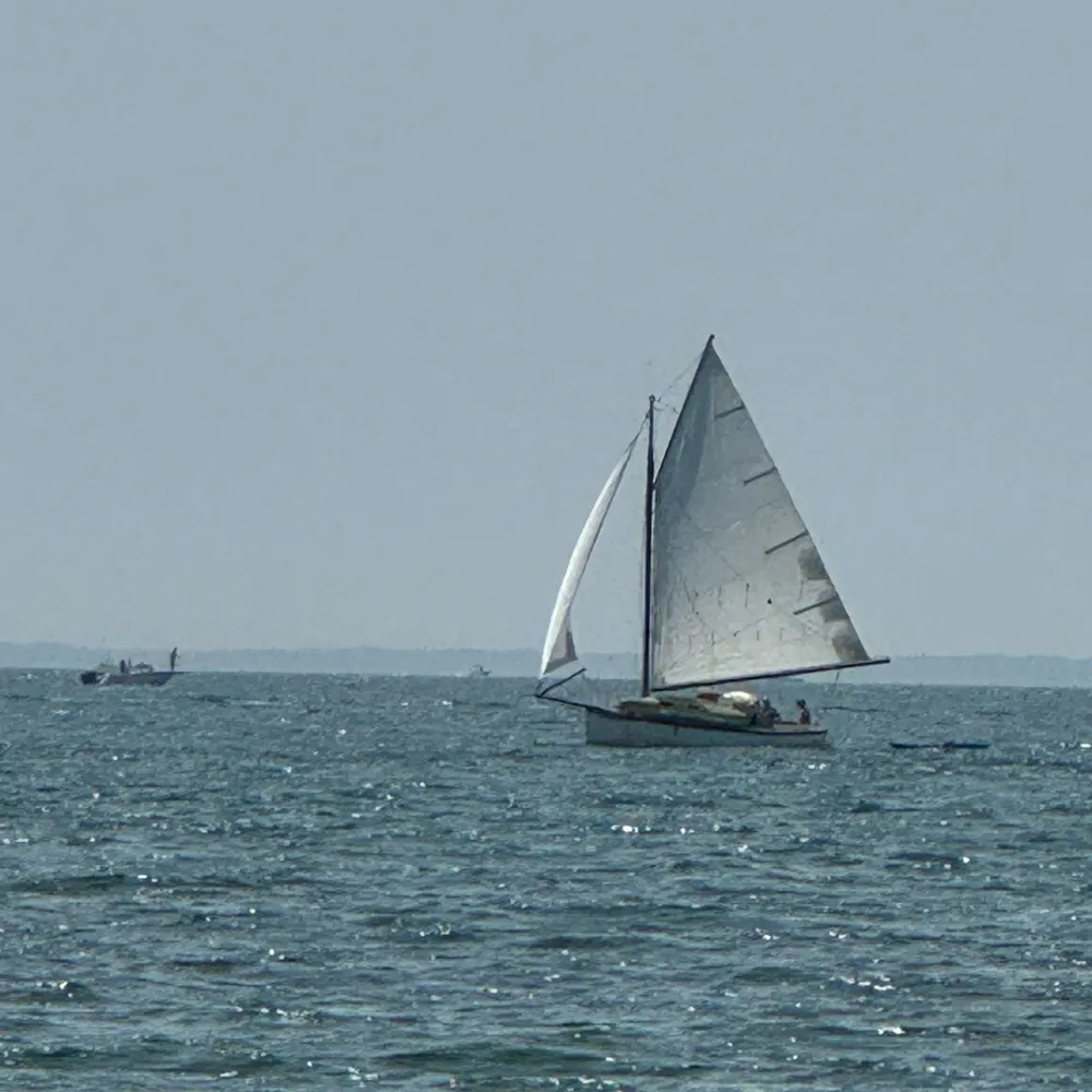 attentir.bsky.social's profile picture