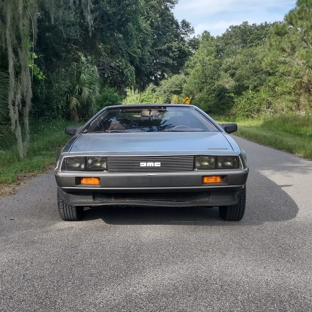 danamasse.bsky.social's profile picture