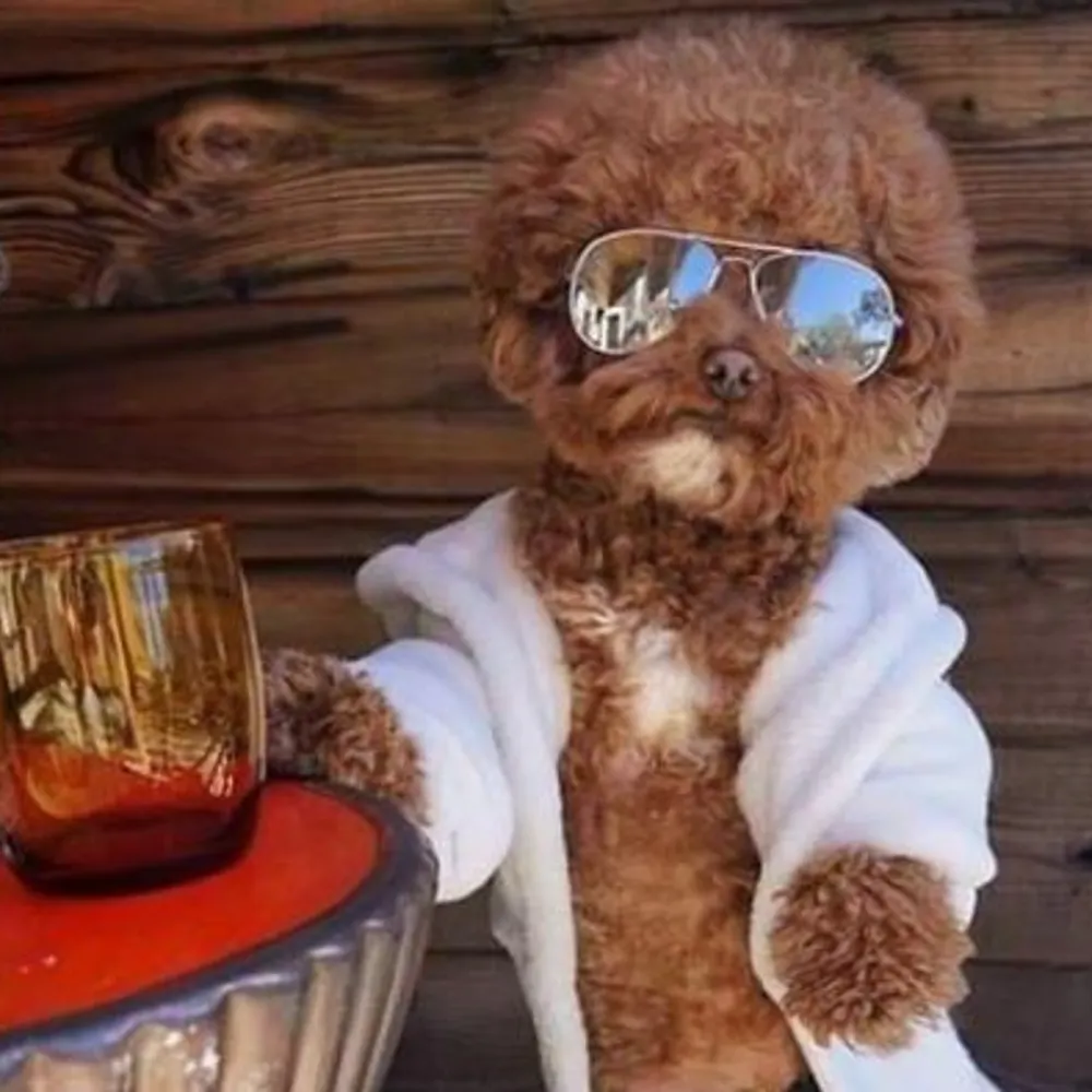 pekerpotpie.bsky.social's profile picture