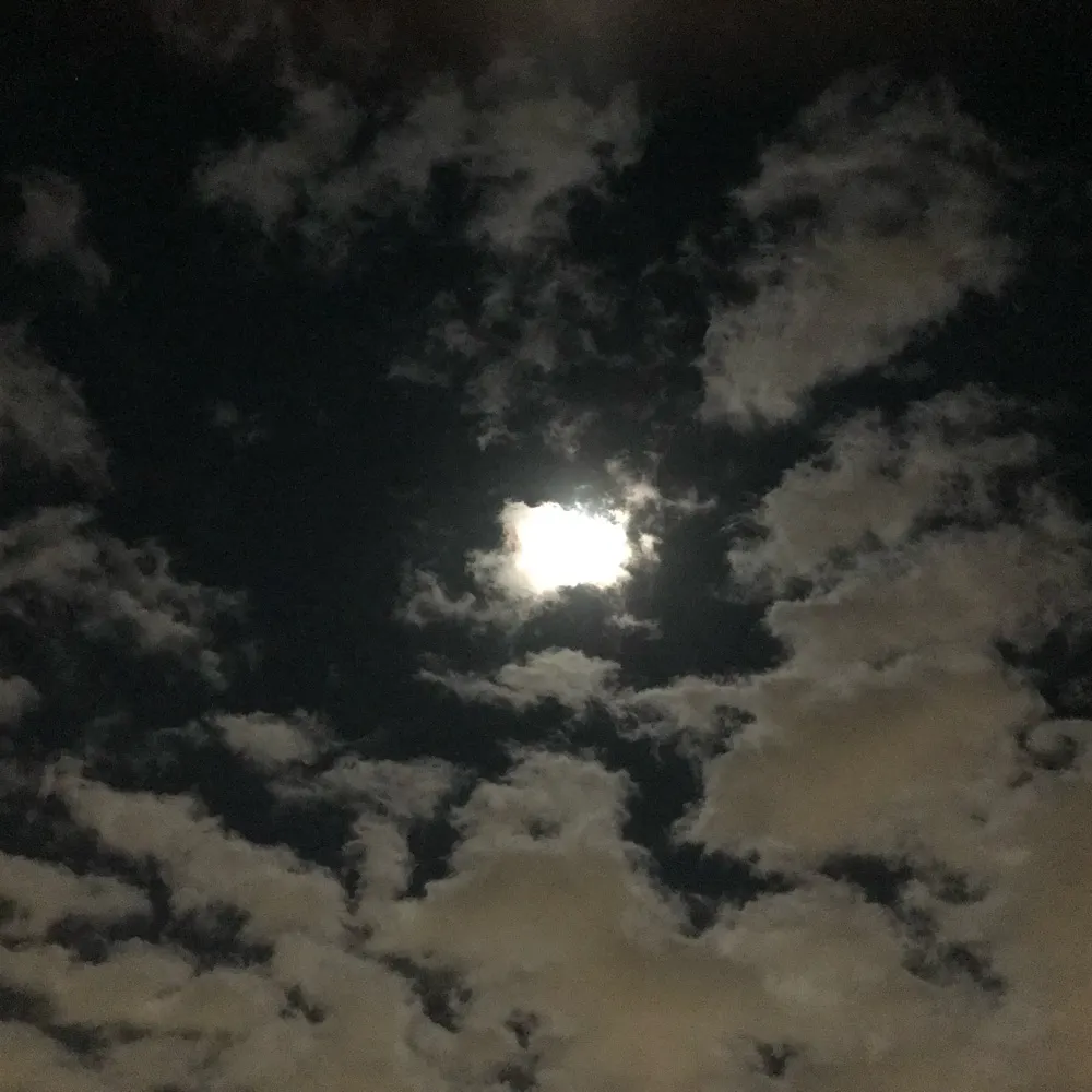 curiouswitness.bsky.social's profile picture