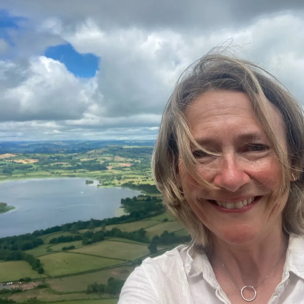 gilltav.bsky.social's profile picture