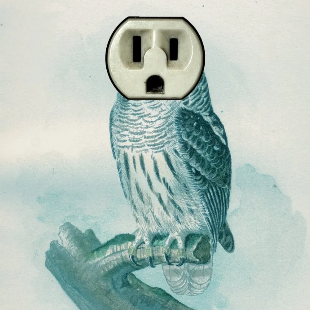 rumdoodle.bsky.social's profile picture