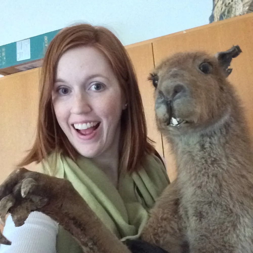 huber.bsky.social's profile picture