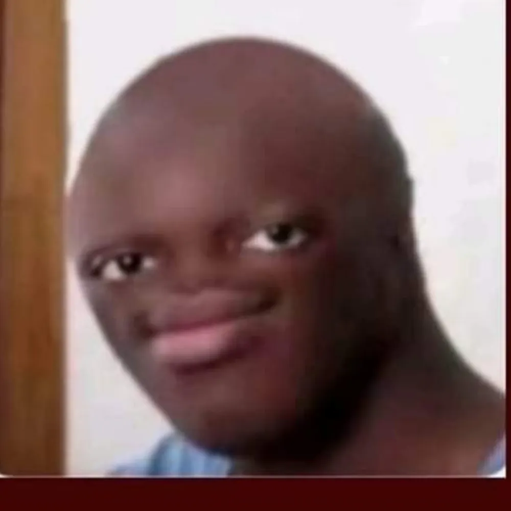 xreggs.woke.cat's profile picture