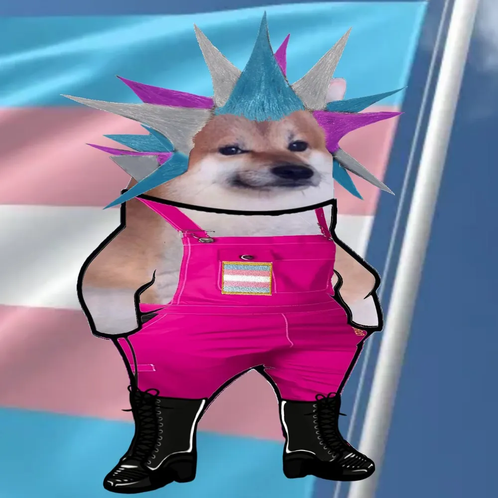 mxeddynikko.bsky.social's profile picture