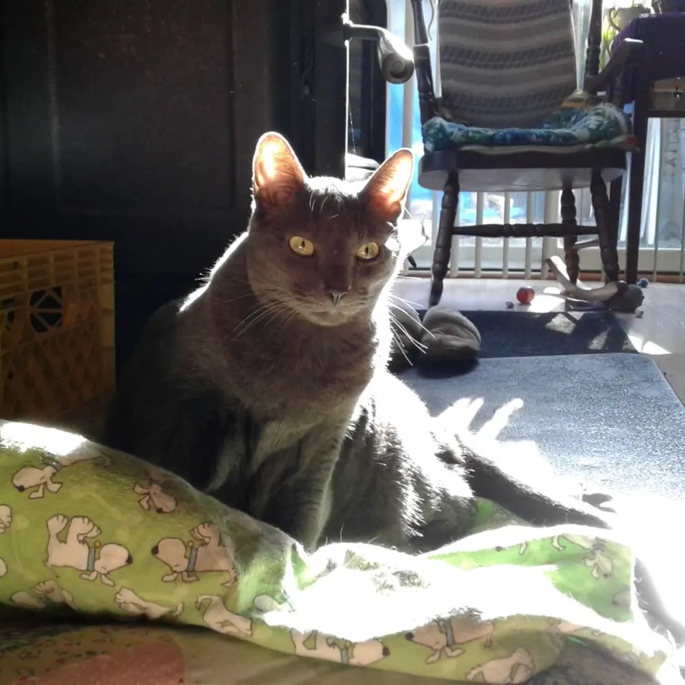 andreakelly7.bsky.social's profile picture