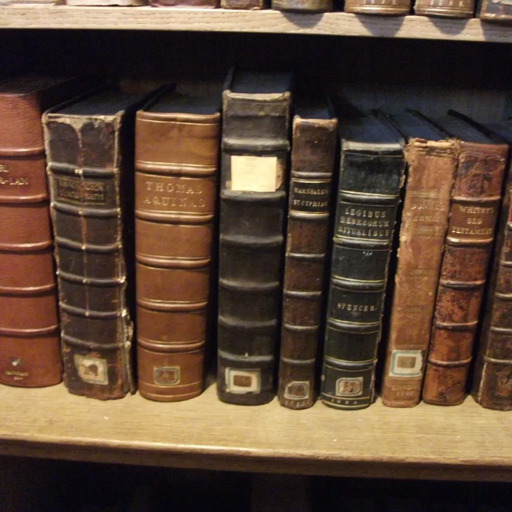 stdavidscathlib.bsky.social's profile picture