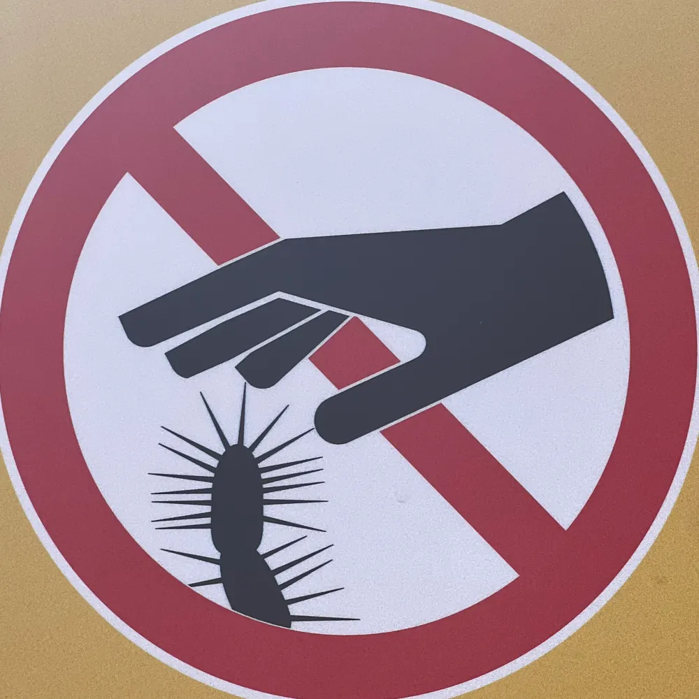 jdconnor.bsky.social's profile picture