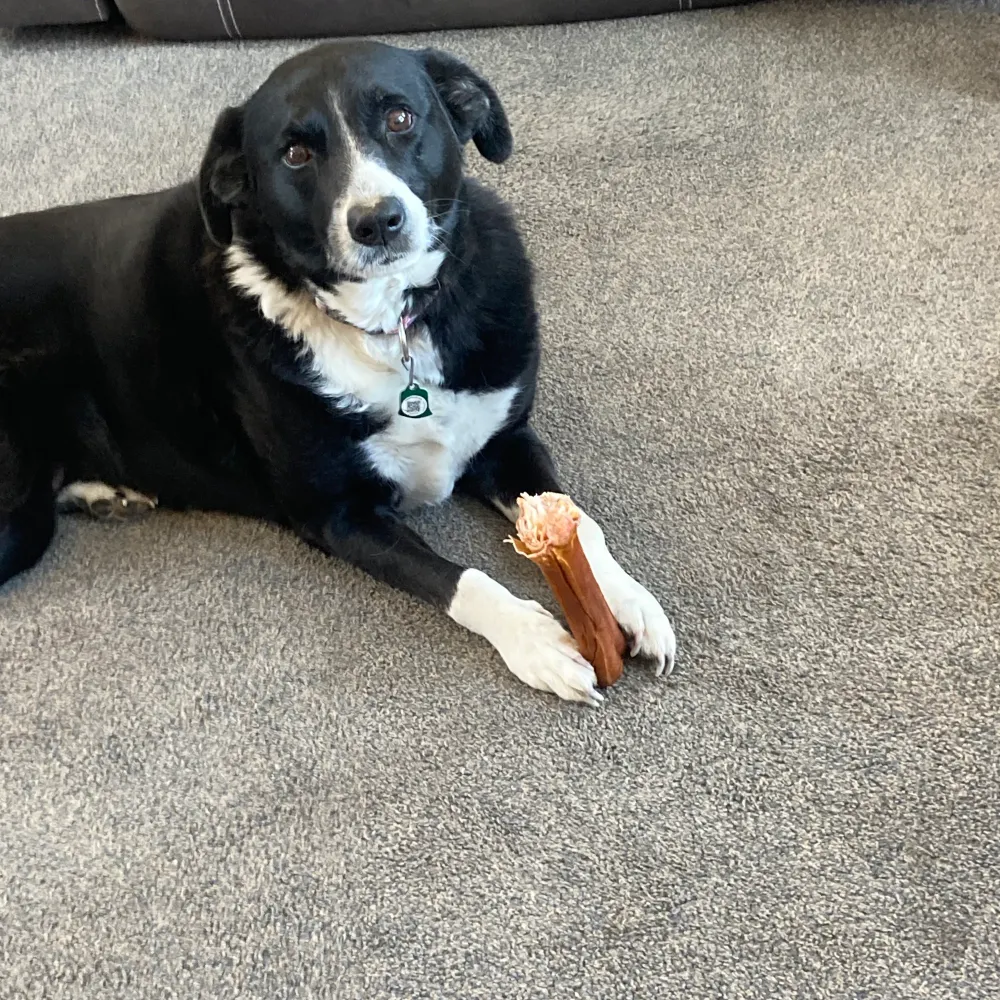 janesrevenge.bsky.social's profile picture