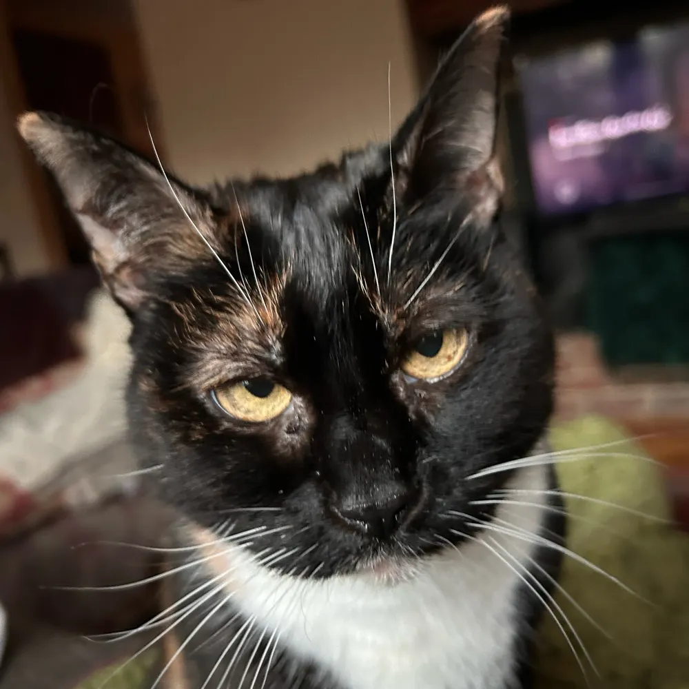 jwoodlands.bsky.social's profile picture