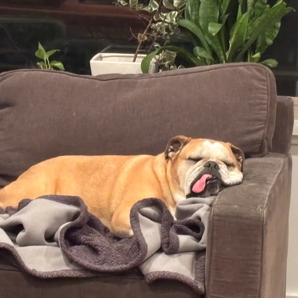 mattofphiladelphia.bsky.social's profile picture