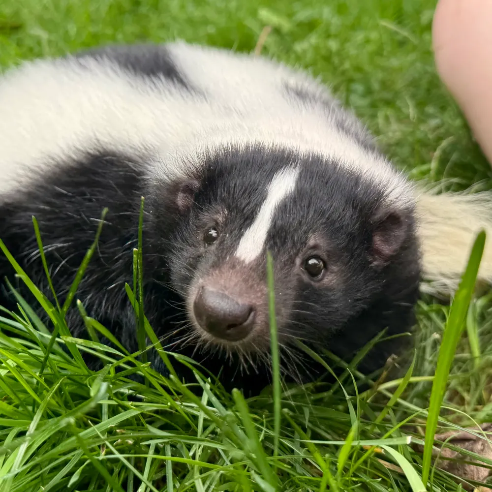 weedlawyer.bsky.social's profile picture