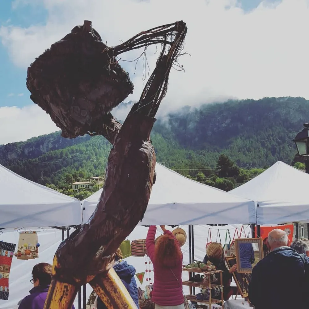 csoppenhuizen.bsky.social's profile picture