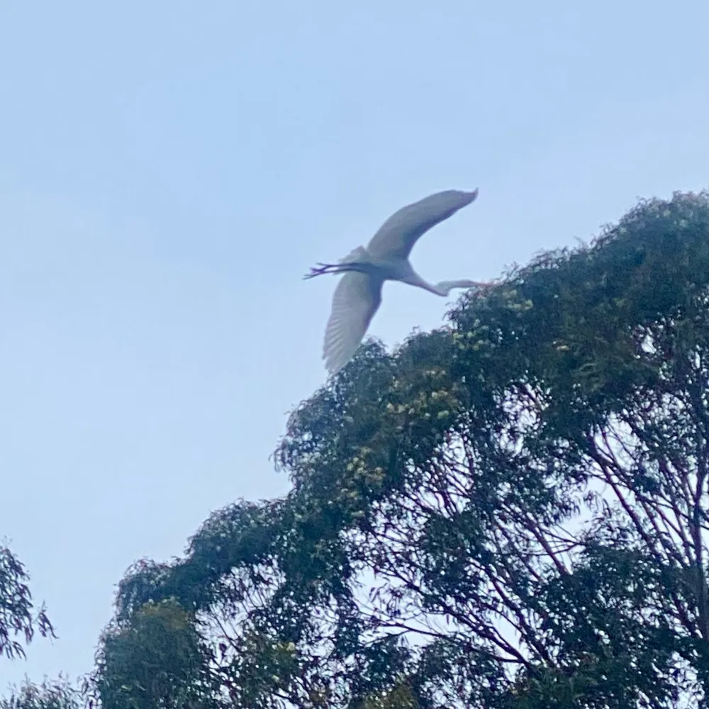 yentl77.bsky.social's profile picture