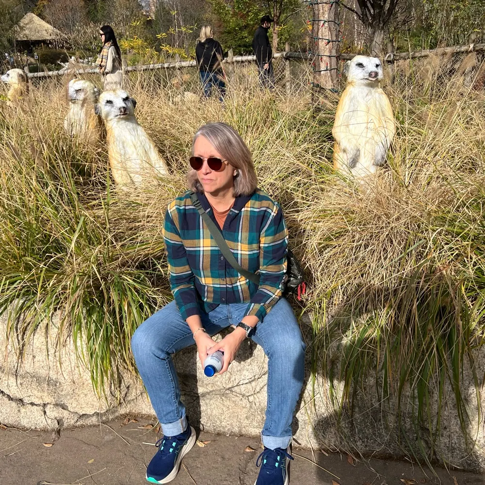 neilc-atl.bsky.social's profile picture