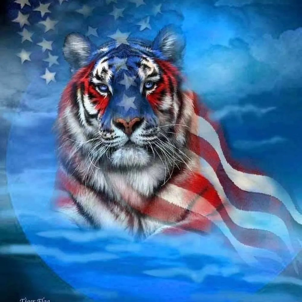 drrenemd.bsky.social's profile picture