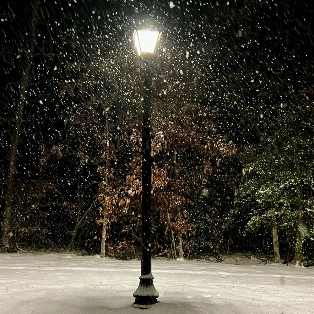 vaforestdweller.bsky.social's profile picture