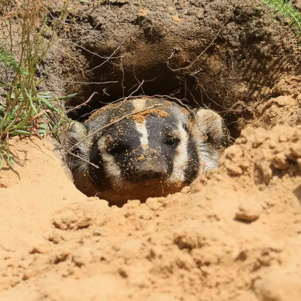 craigfaanes.bsky.social's profile picture