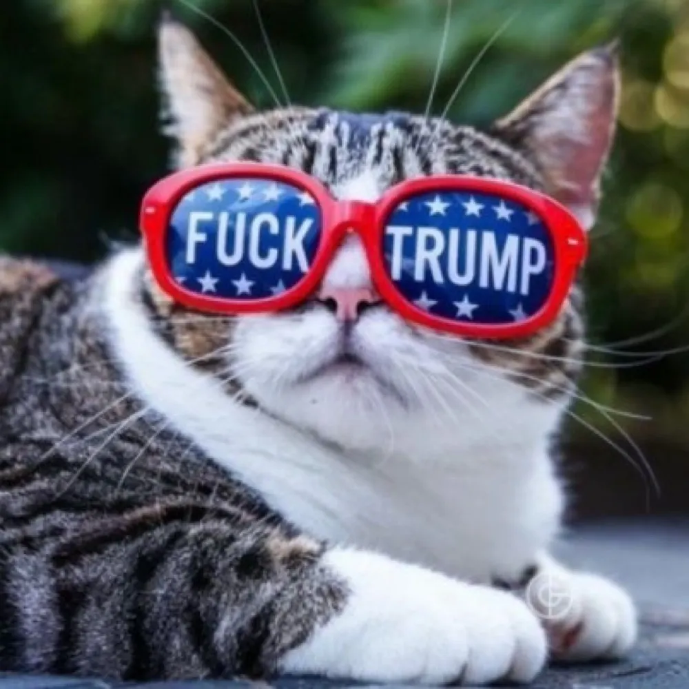 cbloom57.bsky.social's profile picture