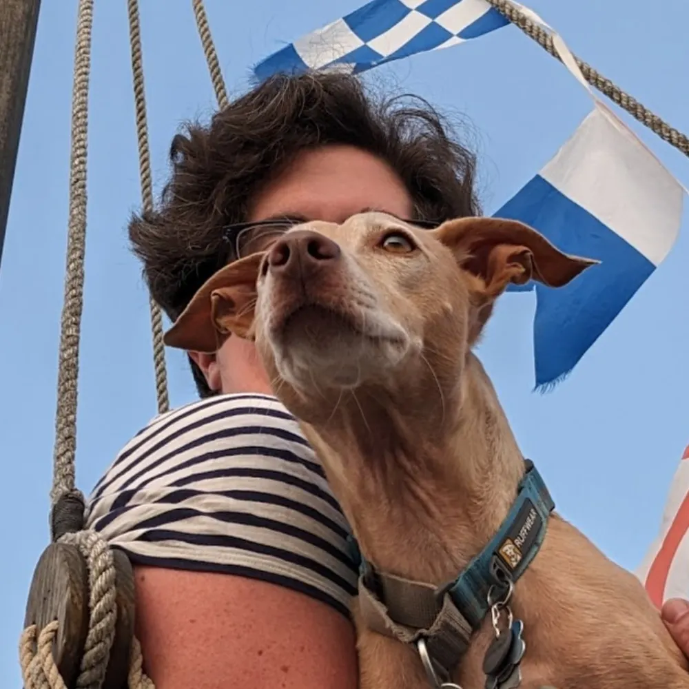 mkreed.bsky.social's profile picture