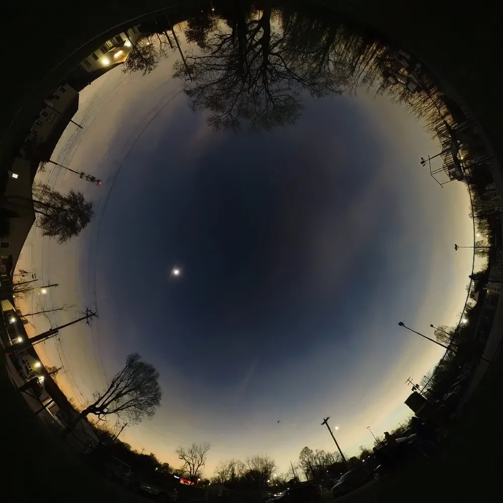 oneshea.bsky.social's profile picture