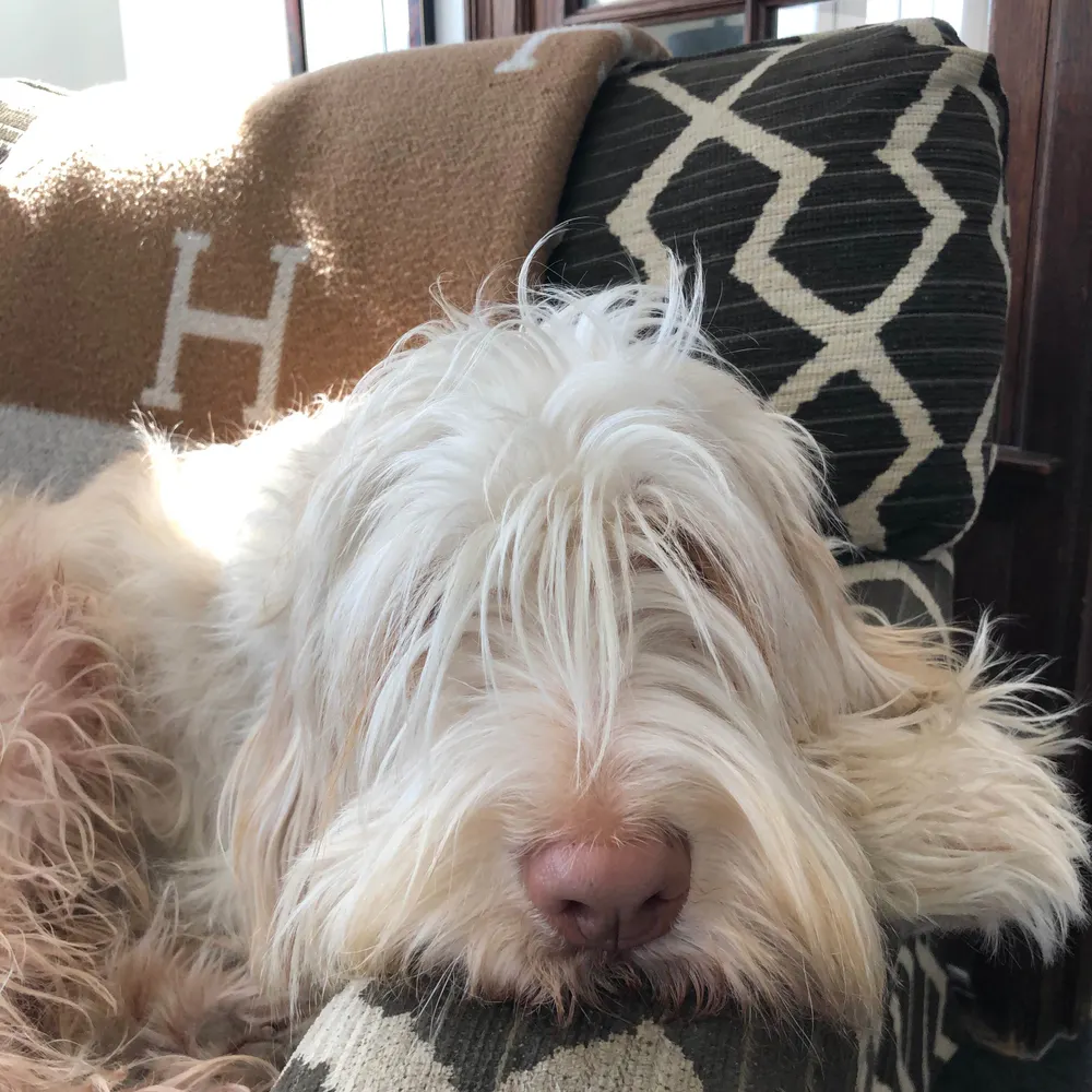 jtyler5.bsky.social's profile picture