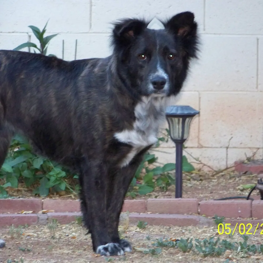 chrisbyc.bsky.social's profile picture