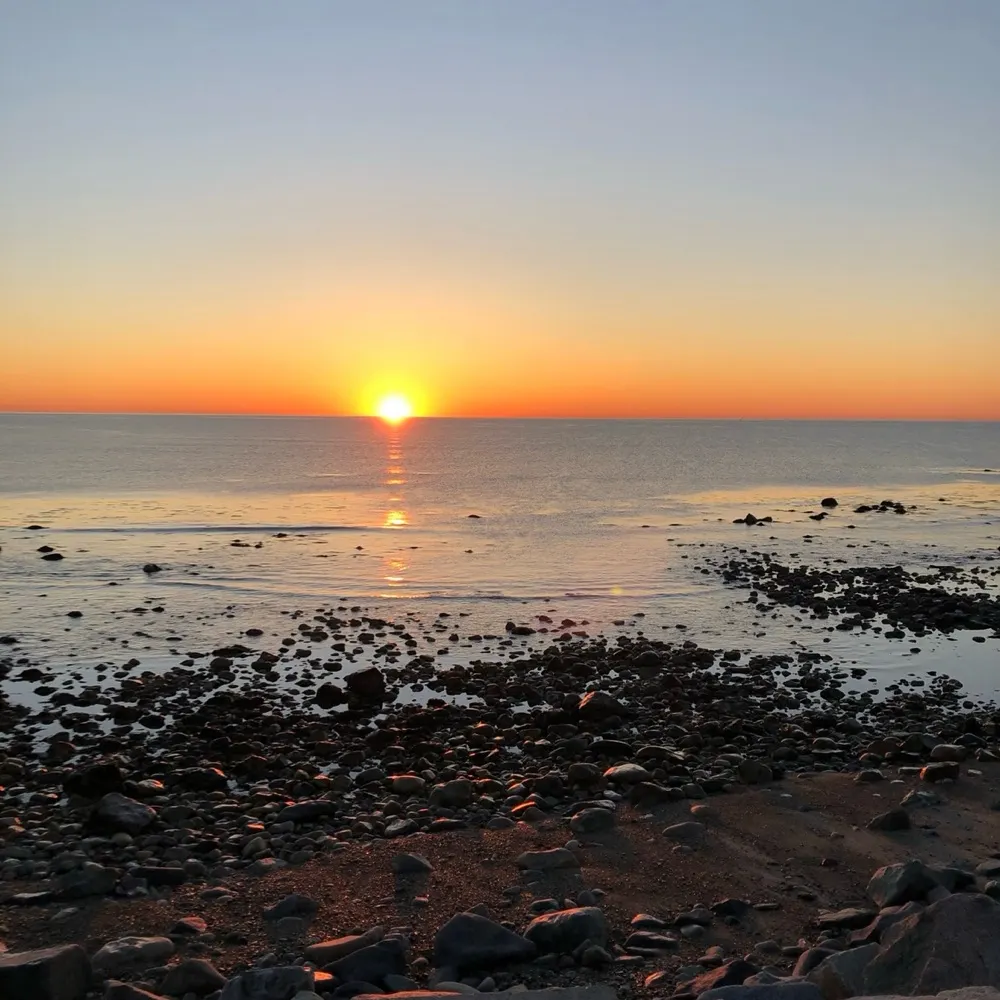 dwnwthtyrants.bsky.social's profile picture