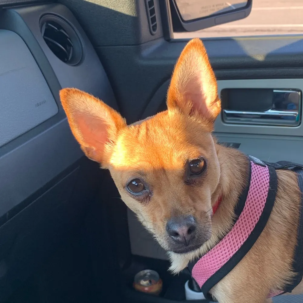 arisws.bsky.social's profile picture