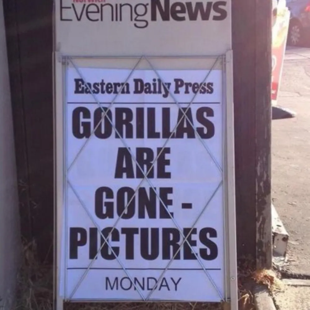 yingtongiddle.bsky.social's profile picture