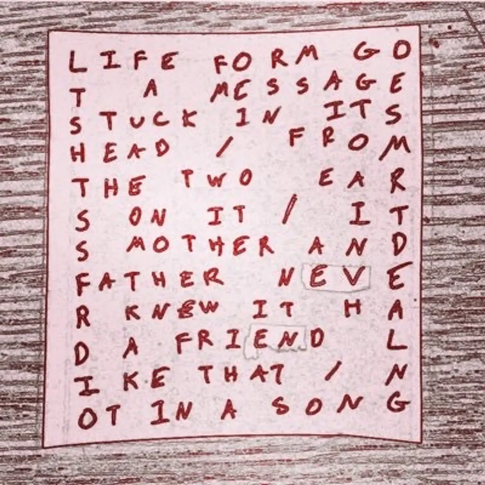 chilisunrise.com's profile picture