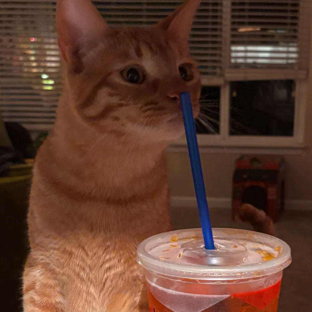 worthlessgrape.bsky.social's profile picture