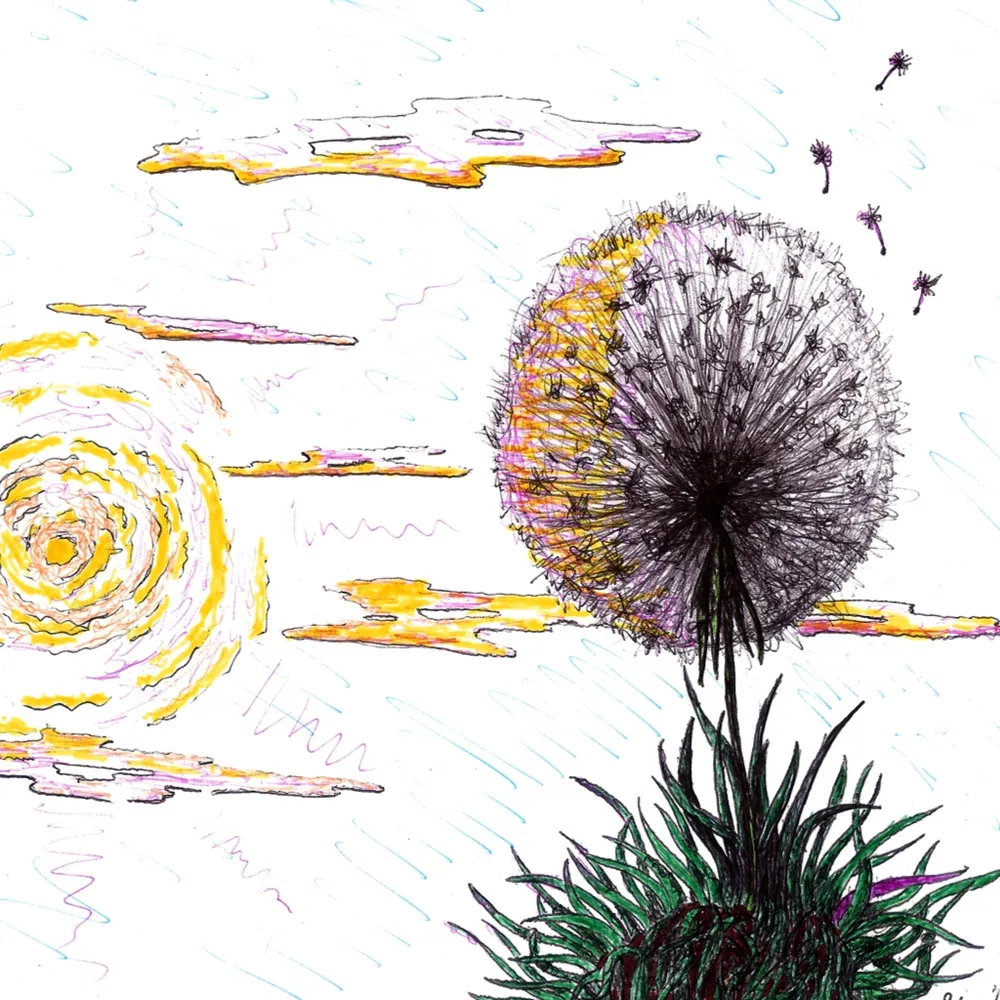 moonspiders.bsky.social's profile picture