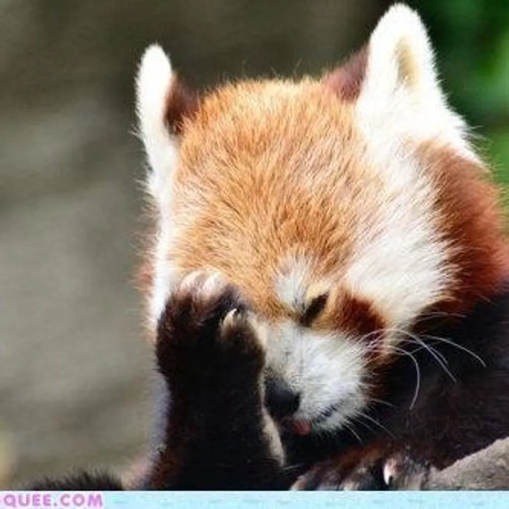 myfriendliz.bsky.social's profile picture