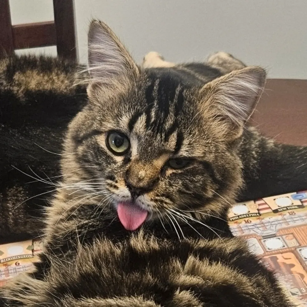 grumpyj.bsky.social's profile picture