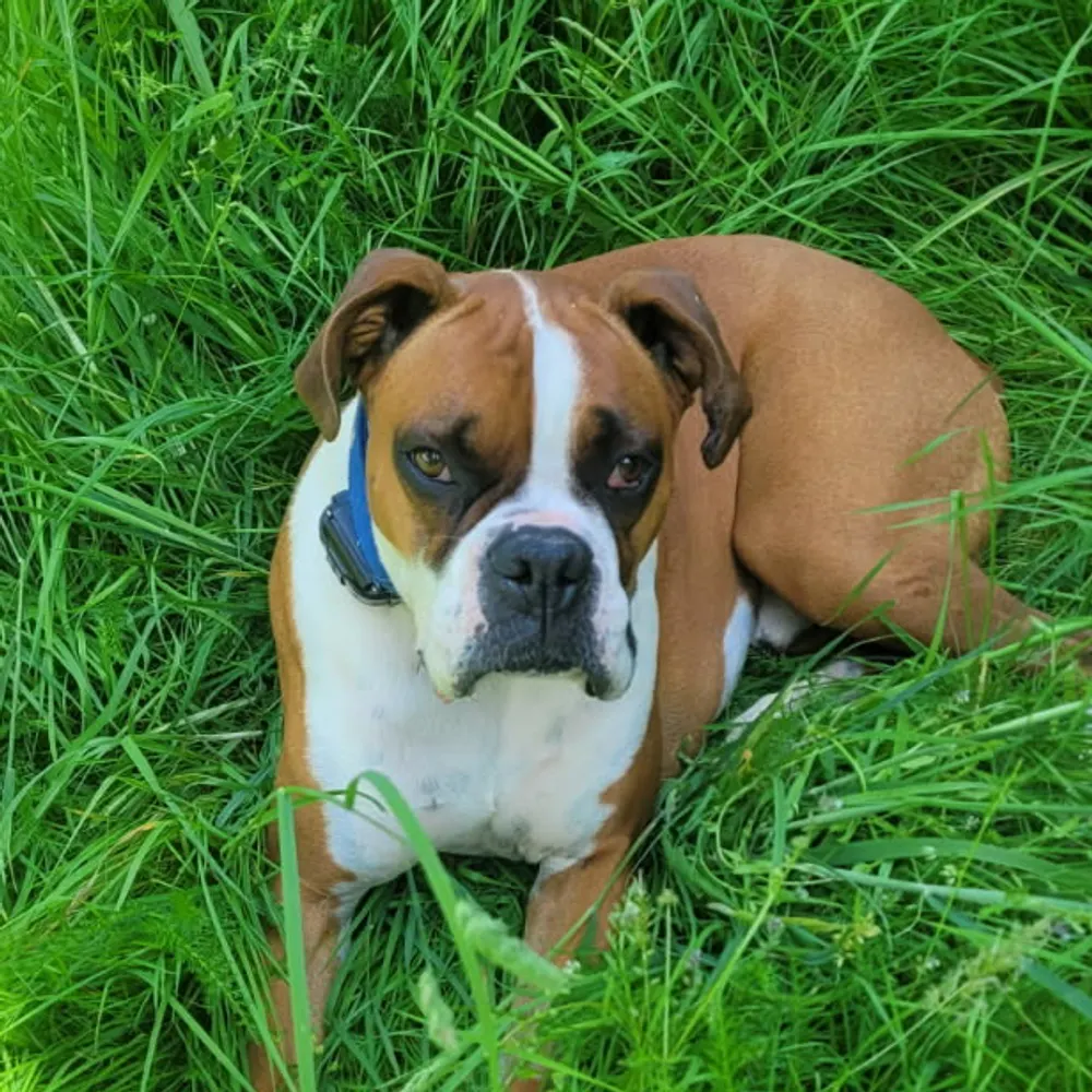 lwabbot.bsky.social's profile picture