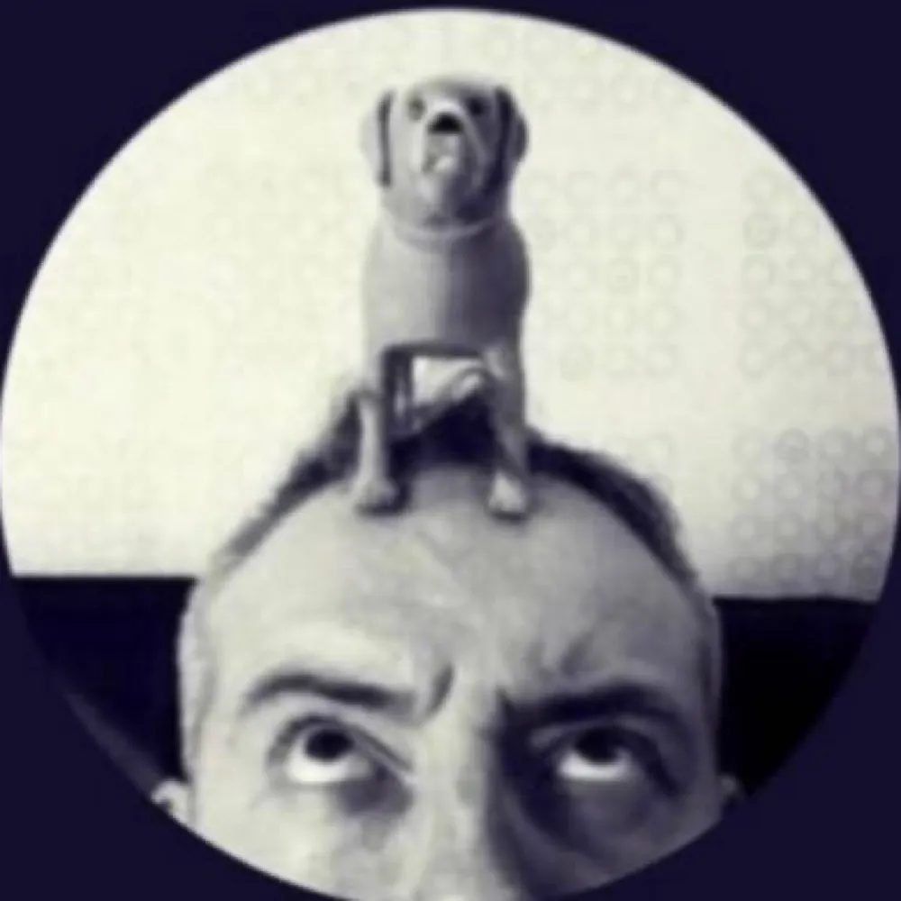 voodooroy.bsky.social's profile picture