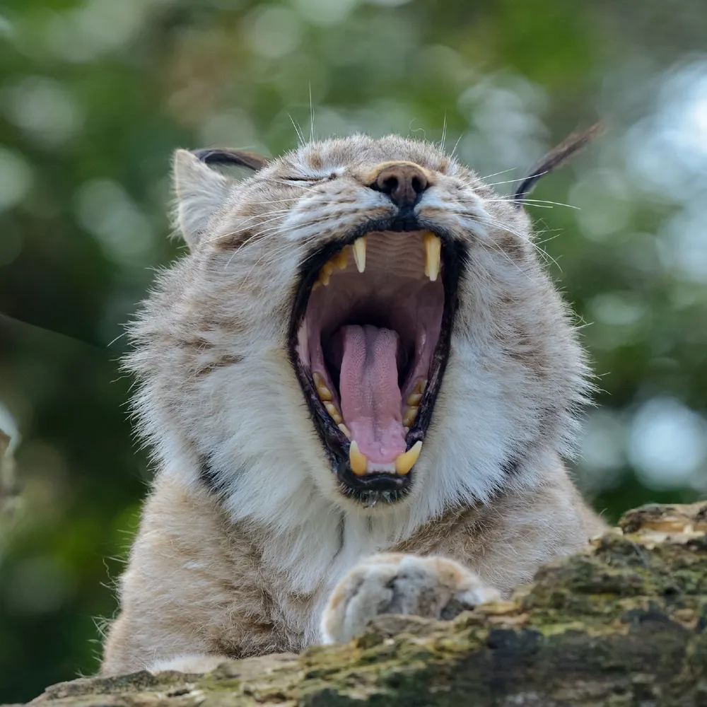 tahyon.bsky.social's profile picture