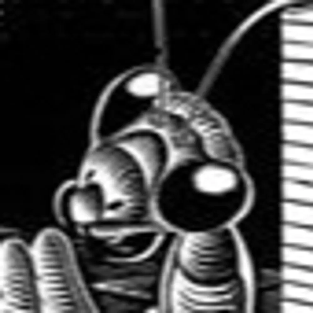 eva.computer's profile picture