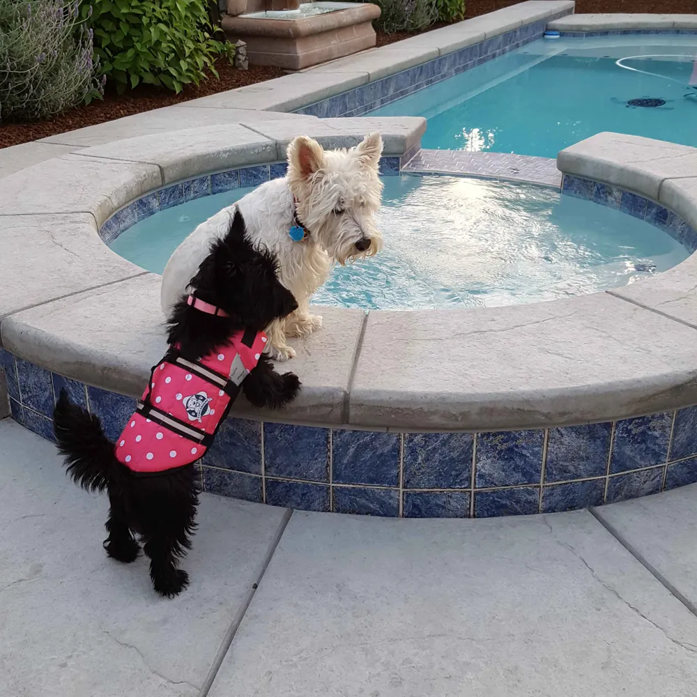 p-e-g-76.bsky.social's profile picture