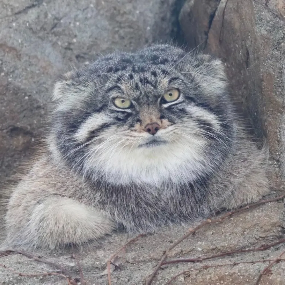 sosomanysarahs.bsky.social's profile picture