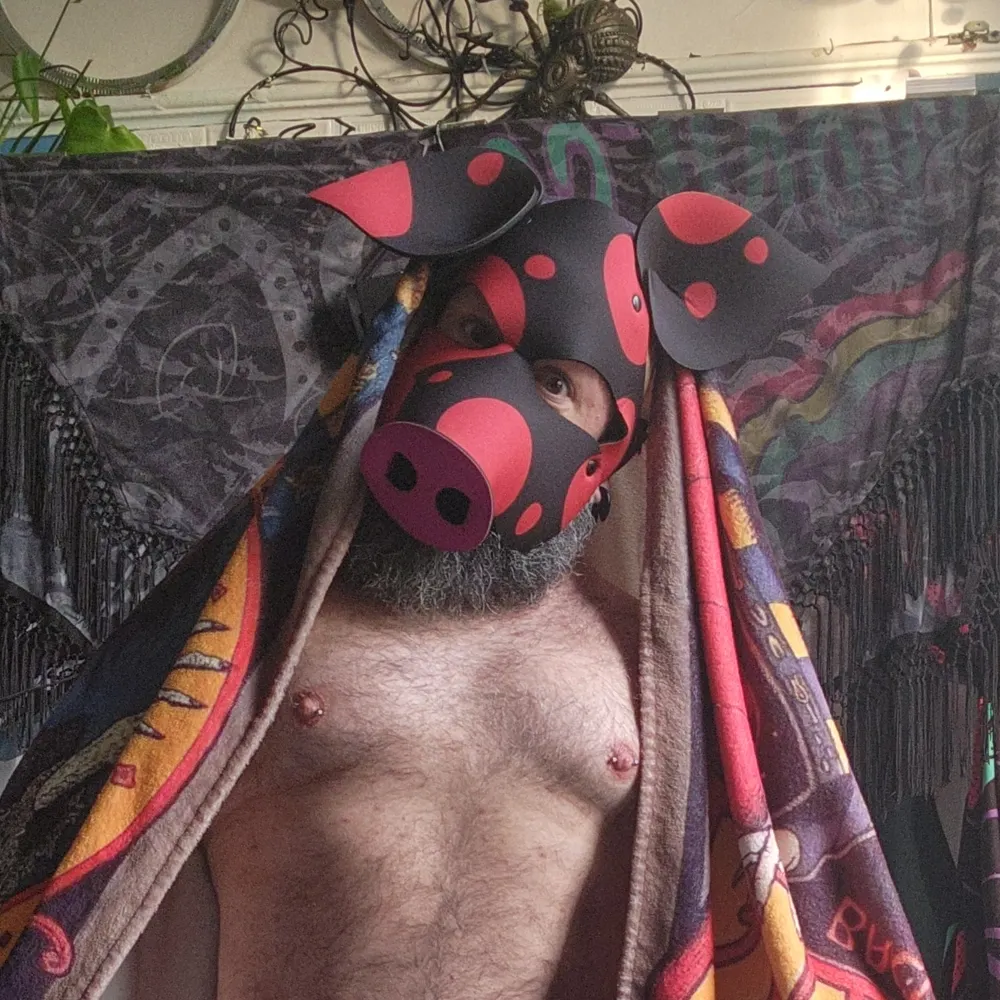 pupcrash69.bsky.social's profile picture